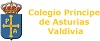 ---COLEGIOPPE_ASTURIAS.jpg